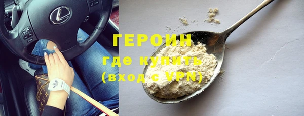 прущие грибы Горно-Алтайск