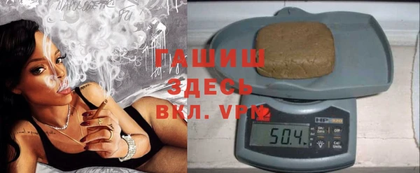 прущие грибы Горно-Алтайск