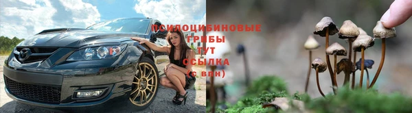 МДПВ Горняк