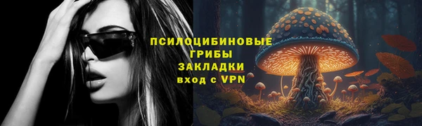 гидропоника Вяземский