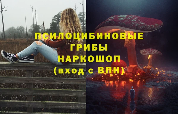 таблы Рославль