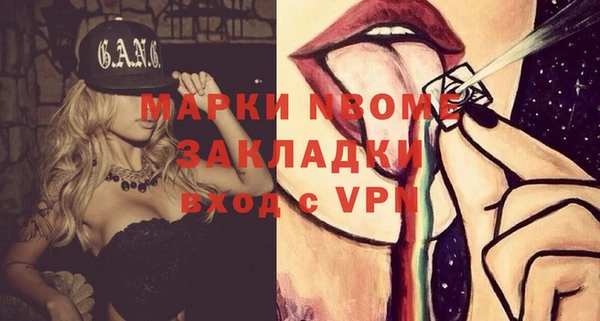 прущие грибы Горно-Алтайск