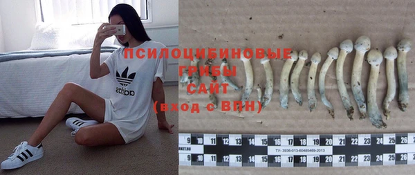 МДПВ Горняк