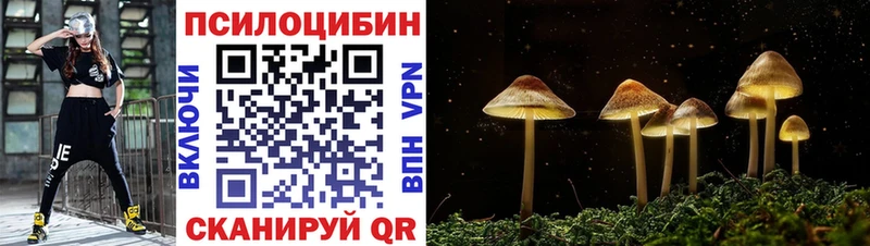 blacksprut вход  Ефремов  Галлюциногенные грибы Psilocybine cubensis 